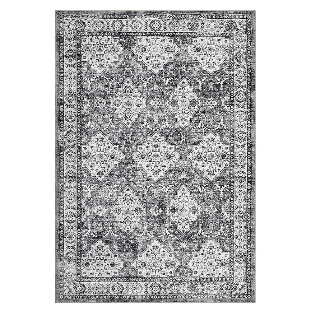 ANIXOL Machine Washable Area Rug