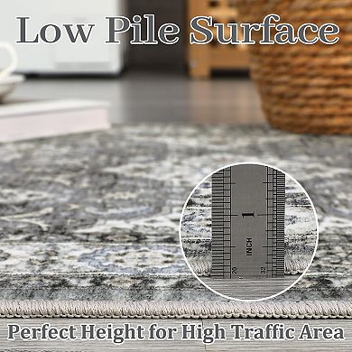 ANIXOL Machine Washable Area Rug