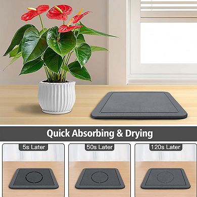 ANIXOL Diatomite Plant Saucer with Drainage