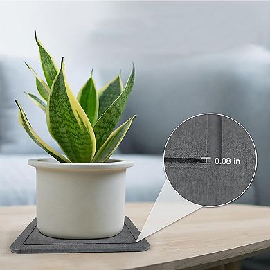 ANIXOL Diatomite Plant Saucer with Drainage