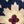 Navy Tan Floral