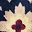Navy Tan Floral