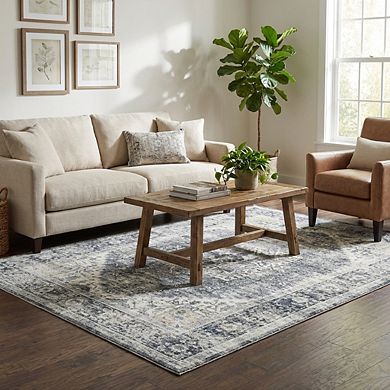 Vintage Area Rug Machine Washable Non Slip Non Shedding Stain Resistant Carpet for Bedroom Kitchen