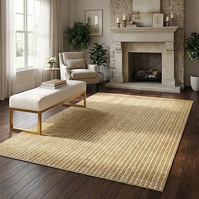 Modern Area Rug Machine Washable Vacuum Clean Ultra Thin Stain Resistant Carpet for Living Room
