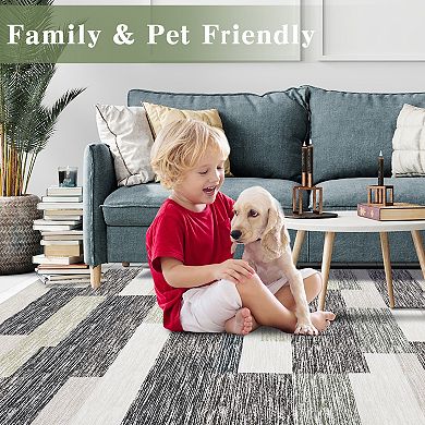 Modern Abstract Area Rug Machine Washable Low Pile Pet Friendly Foldable Floor Cover for Bedroom