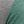 Greygreen