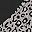 Gray Leopard Black