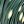 Warm