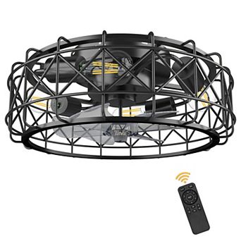 20 in Indoor Black Caged Ceiling Fan Light