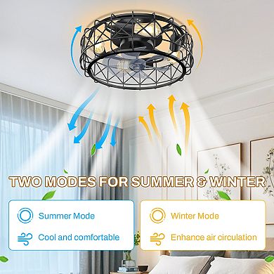 20 in. Indoor Black Caged Ceiling Fan Light