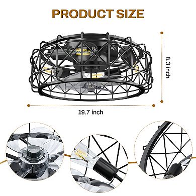 20 in. Indoor Black Caged Ceiling Fan Light