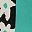 Black Beige Cyan