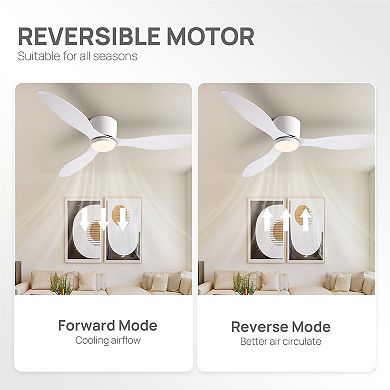 Moooni Smart Low-Profile Ceiling Fan with Light and Remote