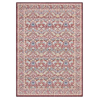 Vintage Floral Bird Washable Area Rug Soft Traditional Oriental Non-Slip Rug for Living Room