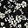 Black White Flora