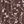 Brown Floral