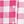 Hot Pink Gingham