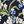 Sea Blue Floral