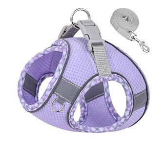 Step In Puppy Harness and Leash