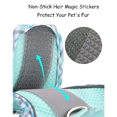 Step In Puppy Harness and Leash