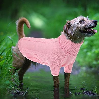 Warm Thick Pullover Dog Sweater