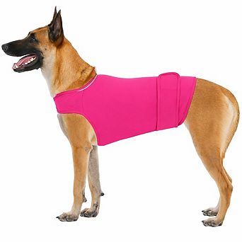 Comfort Wrap for Anxious Dogs