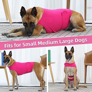 Comfort Wrap for Anxious Dogs