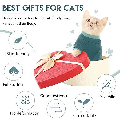 Hairless Cat Sweater Suit