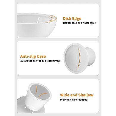 Extra Wide Raised Pet Bowl