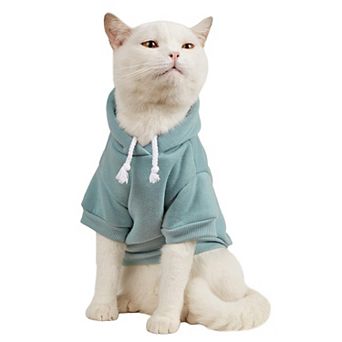 Soft Winter Cat Hoodie
