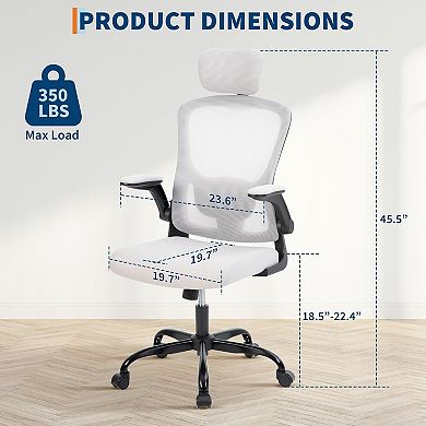 Ergonomic Office Chair