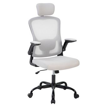 Ergonomic Office Chair