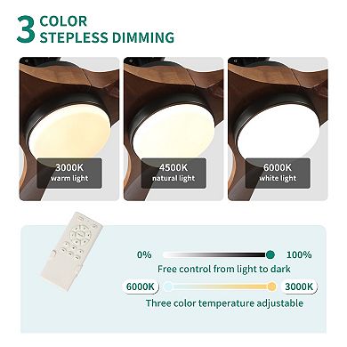 ELEMENT ACE 72 Inch Solid Wood Ceiling Fan with Lights and Remote Control Indoor Outdoor