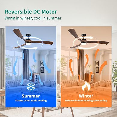 ELEMENT ACE 72 Inch Solid Wood Ceiling Fan with Lights and Remote Control Indoor Outdoor