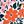 Orange Flower