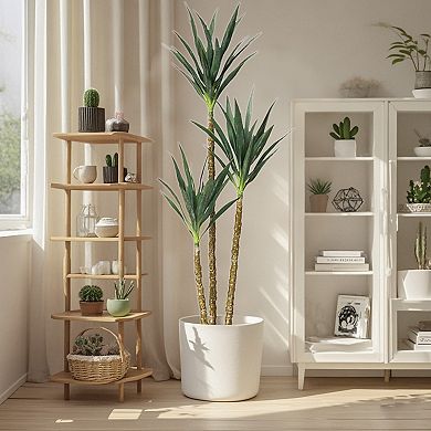 6ft Artificial Tree Faux Agave Plant with 3 Trunks in Pot Lifelike Leaves and Bark