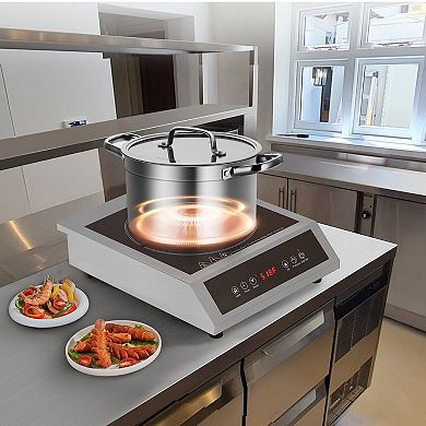 Portable 1800W Induction Cooktop with 9 Heat Levels and Timer