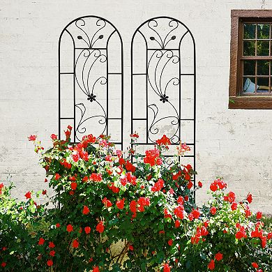 2-Piece Garden Trellis Set for Climbing Vines Flowers and Vegetables
