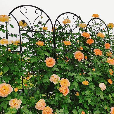 2-Piece Garden Trellis Set for Climbing Vines Flowers and Vegetables