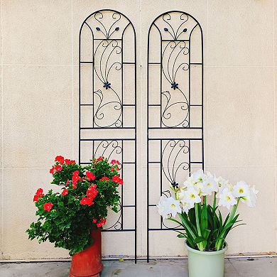 2-Piece Garden Trellis Set for Climbing Vines Flowers and Vegetables