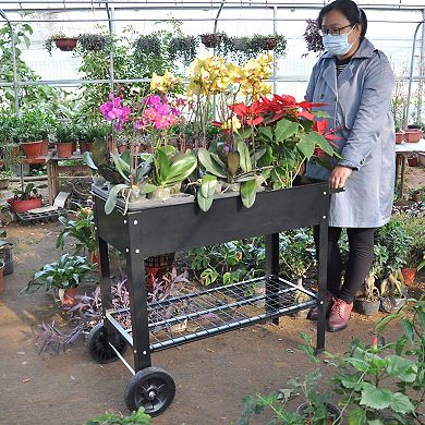 Elevated Raised Garden Bed with Drainage System, Wheels and Storage Shelf