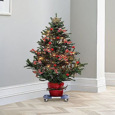 Trash Bin and Outdoor Item Dolly Adjustable with Smooth Movement