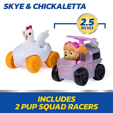 PAW Patrol Skye Pup Squad Launchers with Chickaletta 2-Piece Vehicle Playset