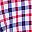 Blue Red Gingham