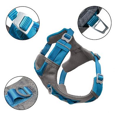 Breathable Harness and Leash