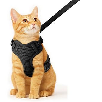 Breathable Cat Walking Harness