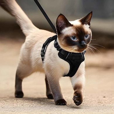 Breathable Cat Walking Harness