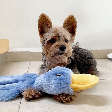 Squeaky Duck Dog Chew Toy
