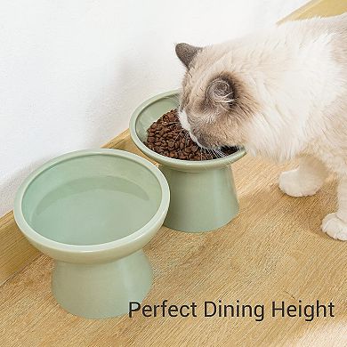 Lead Free Raised Cat Bowls