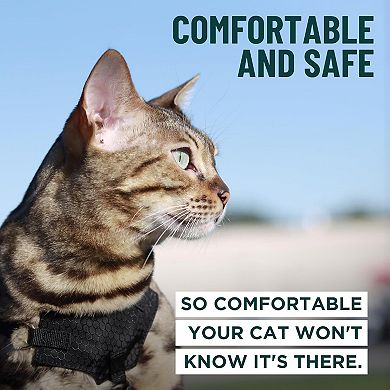 Secure Cat Walking Harness